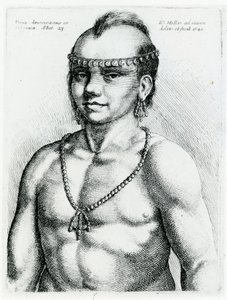 Virginiai indián, 1645 alkotó: Wenceslaus Hollar