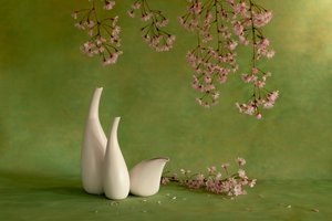  alkotó: Wendy Xu