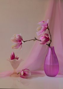  alkotó: Wendy Xu