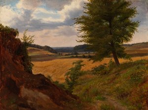 Fa mezős tájban, tanulmány alkotó: Werner Holmberg