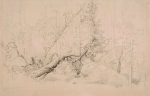 Cím nélkül alkotó: Werner Holmberg