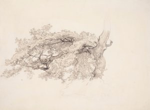 Cím nélkül alkotó: Werner Holmberg