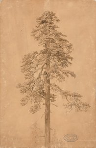 Cím nélkül alkotó: Werner Holmberg