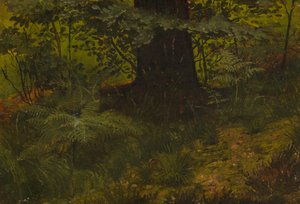 Cím nélkül alkotó: Werner Holmberg