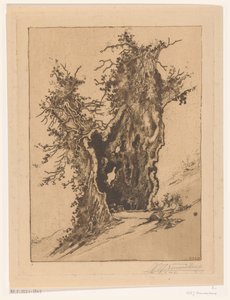 Üreges fa Seelisbergben, Svájcban Hollow Tree (eredeti cím)