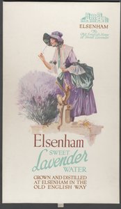 Elsenham levendula, 1920-as évek alkotó: Wilfred Fryer