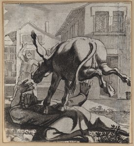A Bolond, aki dicsekvés főnökségével alkotó: Wilhelm Stettler