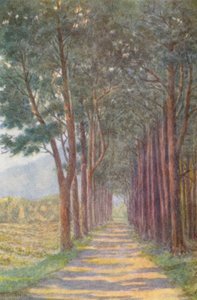 Fir Avenue, "Alphen" (színes litográfia)