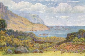 A Victoria Roadon, az Oude Kraal közelében (színes lithó) alkotó: Wilhelm Westhofen