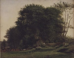 Erdőirtás szarvasmarhákkal alkotó: Wilhelm Xylander