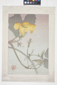 Virágtanulmány alkotó: Wilhelmina Seegmiller