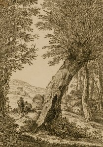 Tájkép fűzfával alkotó: Willem Bemmel