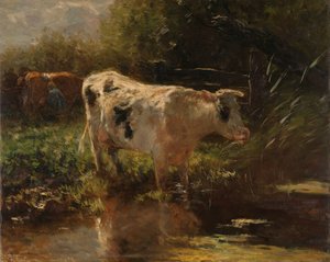Tehén egy árok mellett Tehén az árok felőli oldalon