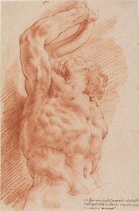 Laocoon. Laocoon törzse alulról látható jobbról. alkotó: Willem Panneels