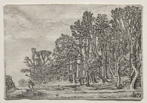 A tájak díszlete: két deszka-sövény, 1616.