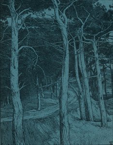 Erdő, 1912