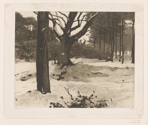 Havas erdei táj Edén alkotó: Willem Witsen (signed by artist)