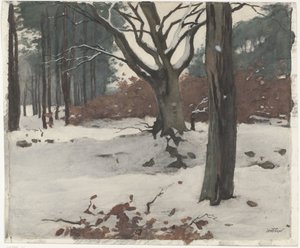 Fák a hóban alkotó: Willem Arnoldus Witsen