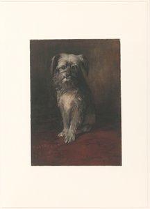 A kutya Phoebus portréja alkotó: Willem Arnoldus Witsen