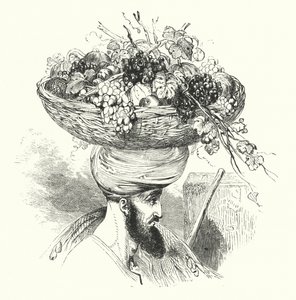 „A föld Abd-Allahja gyümölcskosárral (metszet) alkotó: William (after) Harvey