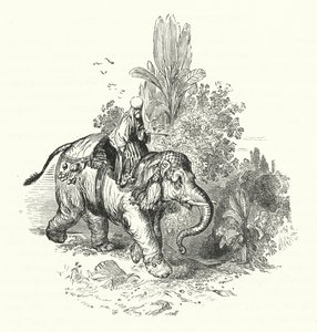 "Abd-El-Kuddoos az elefánton (metszet) alkotó: William (after) Harvey