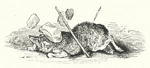 A farkas halála (metszet)