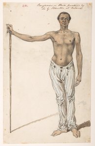 Benjamin – egy rabszolga, amelyet Sir G. Staunton vásárolt meg Bataviában. Album 278 tájat, tengerpartot, jelmezeket és mindennapi életet ábrázoló rajzot, amely Lord Macartney kínai császári nagykövetsége idején készült. 1792 és 1794 között. Művész(ek): Al alkotó: William Alexander