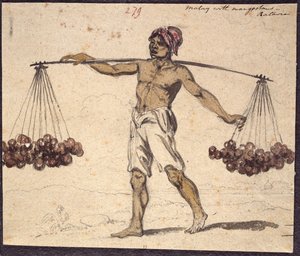 WD 961 f.279 alkotó: William Alexander