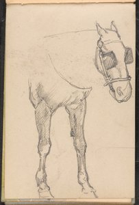 Villogós ló vázlata, 1879 körül alkotó: William Barnes Wollen