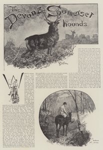 A Devon és Somerset Hounds