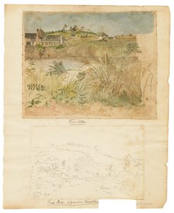 Négy ösvény, Clarendon-hegység, Jamaica alkotó: William Berryman