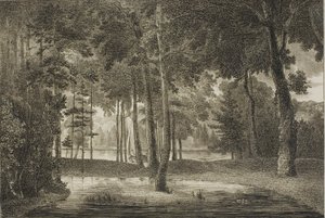 Kilátás az Elysian Bower felől alkotó: William Birch
