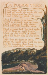 Songs of Inocence and of Experience, 41. tábla, "A Poison Tree" (Bentley 49)