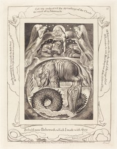 Behemót és Leviatán alkotó: William Blake