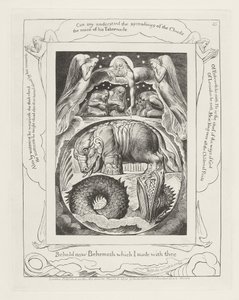 Íme most Behemót, amelyet veled készítettem alkotó: William Blake