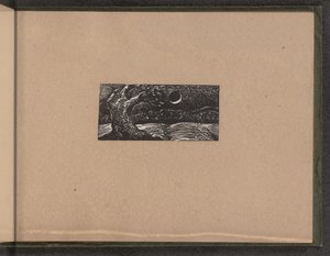 Robbantott fa és lelapított növények alkotó: William Blake