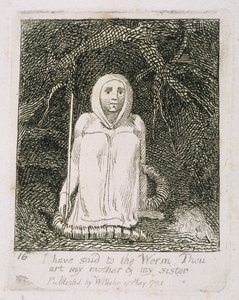 Azt mondtam a féregnek, hogy te vagy az anyám és a nővérem, 17. tábla a „Gyermekeknek”. A Paradicsom kapui”, 1793 alkotó: William Blake