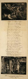 Kis Tom, a tengerész, William Hayley alkotó: William Blake