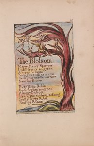 Az ártatlanság és a tapasztalat dalai, 20. lemez, A virág (Bentley 11) alkotó: William Blake