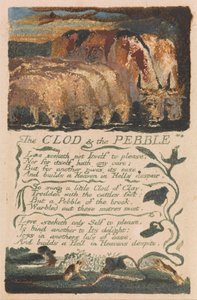Songs of Inocence and of Experience, 36. tábla, The Clod and the Pebble (Bentley 32) alkotó: William Blake