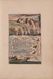 Songs of Inocence and of Experience, 40. tányér, The Clod and the Pebble (Bentley 32) alkotó: William Blake