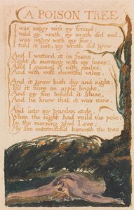 Songs of Inocence and of Experience, 41. tábla, Egy méregfa (Bentley 49) alkotó: William Blake