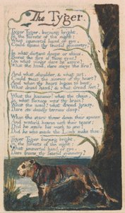 Az ártatlanság és a tapasztalat dalai, Plate 42, The Tyger (Bentley 42) alkotó: William Blake
