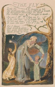 Songs of Inocence and of Experience, 48. tábla, "The Fly" (Bentley 40) alkotó: William Blake