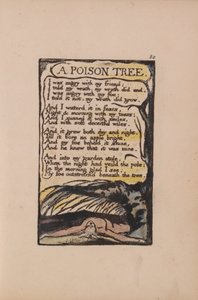 Songs of Inocence and of Experience, 50. tábla, Egy méregfa (Bentley 49) alkotó: William Blake