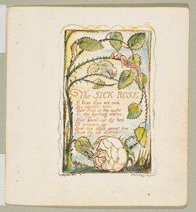 Az ártatlanság és az élmény dalai: A beteg rózsa, kb. 1825. alkotó: William Blake