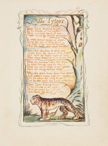 Dalok az ártatlanságról és az élményről: The Tyger, 1825 körül (barna tintával, kézzel festett vízfestékkel) alkotó: William Blake