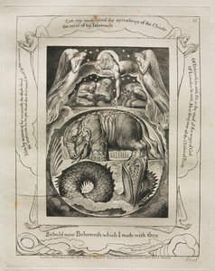 Jób könyve: Pl. 15, Íme, Behemót, amelyet veled készítettem alkotó: William Blake