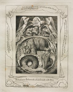 Jób könyve: Pl. 15, Íme, Behemót, amelyet veled készítettem, 1825. alkotó: William Blake