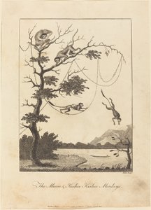 The Mecoo & Kisbee Kishee Monkeys, 1793. alkotó: William Blake